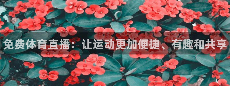 免费体育直播：让运动更加便捷、有趣和共享