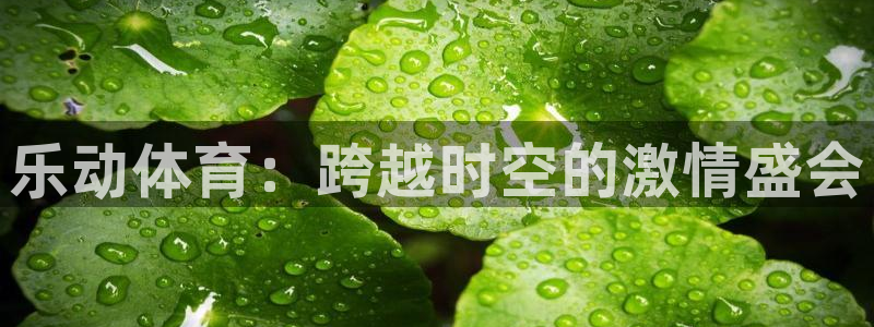 乐动体育：跨越时空的激情盛会