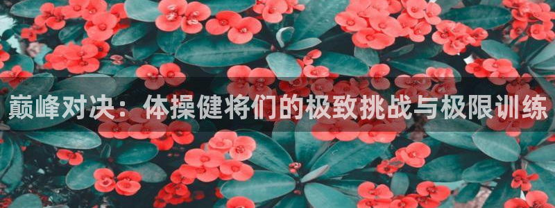 巅峰对决：体操健将们的极致挑战与极限训练