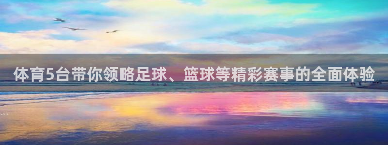 体育5台带你领略足球、篮球等精彩赛事的全面体验