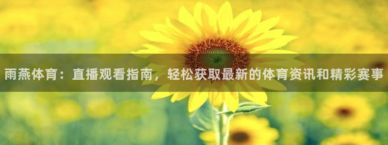 雨燕体育：直播观看指南，轻松获取最新的体育资讯和精彩赛事