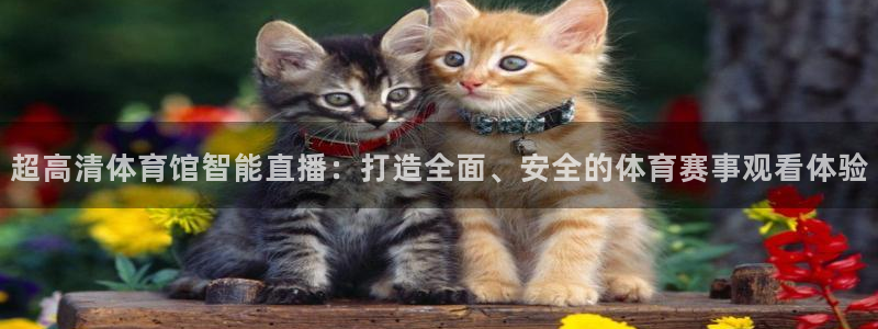 超高清体育馆智能直播：打造全面、安全的体育赛事观看体验