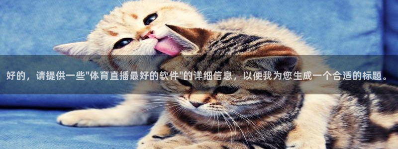 好的，请提供一些\