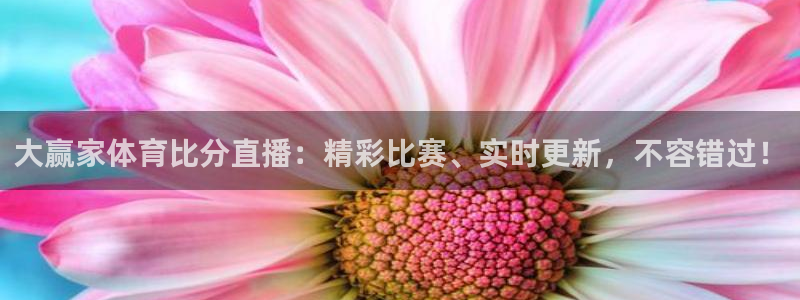 大赢家体育比分直播：精彩比赛、实时更新，不容错过！