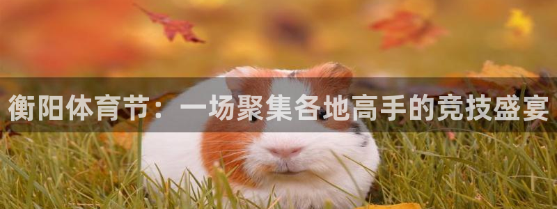 衡阳体育节：一场聚集各地高手的竞技盛宴