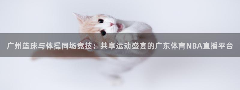 广州篮球与体操同场竞技：共享运动盛宴的广东体育NBA直播平台