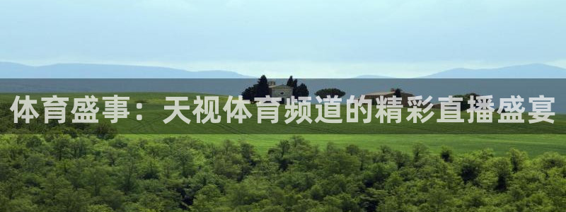 体育盛事：天视体育频道的精彩直播盛宴