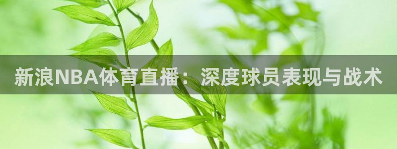 新浪NBA体育直播：深度球员表现与战术