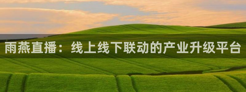 雨燕直播：线上线下联动的产业升级平台