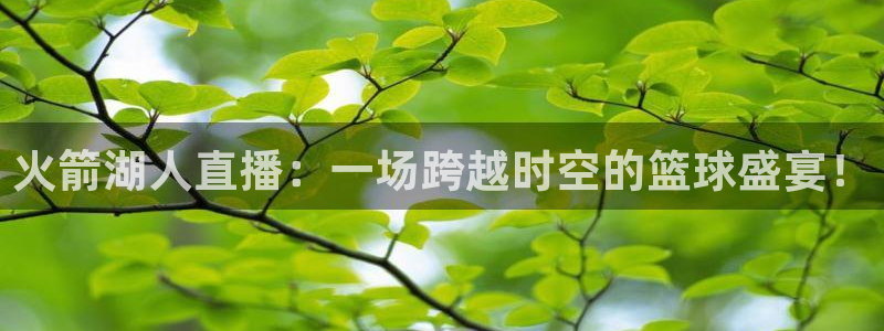 火箭湖人直播：一场跨越时空的篮球盛宴！