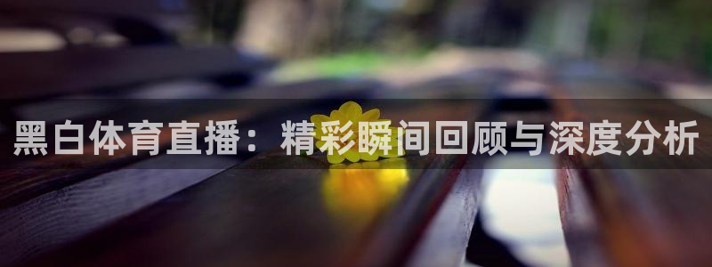 黑白体育直播：精彩瞬间回顾与深度分析