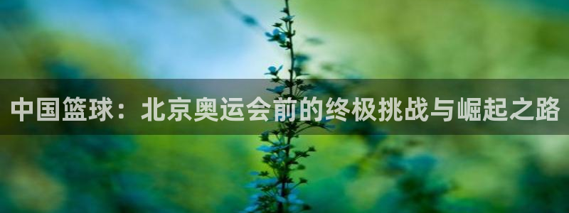 中国篮球：北京奥运会前的终极挑战与崛起之路