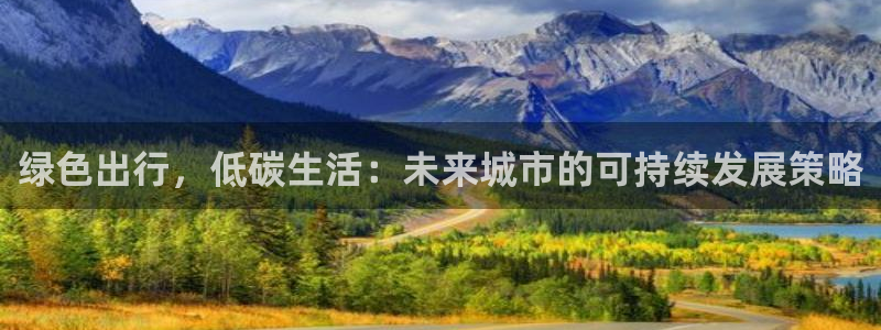 绿色出行，低碳生活：未来城市的可持续发展策略