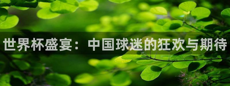 世界杯盛宴：中国球迷的狂欢与期待
