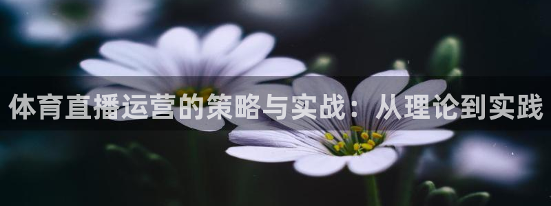 体育直播运营的策略与实战：从理论到实践