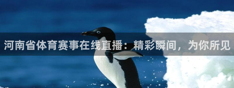 河南省体育赛事在线直播：精彩瞬间，为你所见