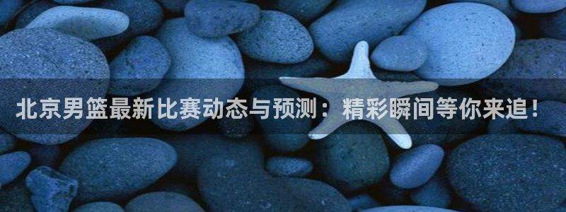 北京男篮最新比赛动态与预测：精彩瞬间等你来追！