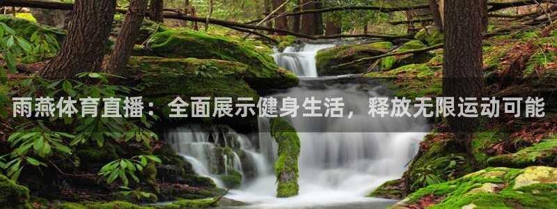 雨燕体育直播：全面展示健身生活，释放无限运动可能