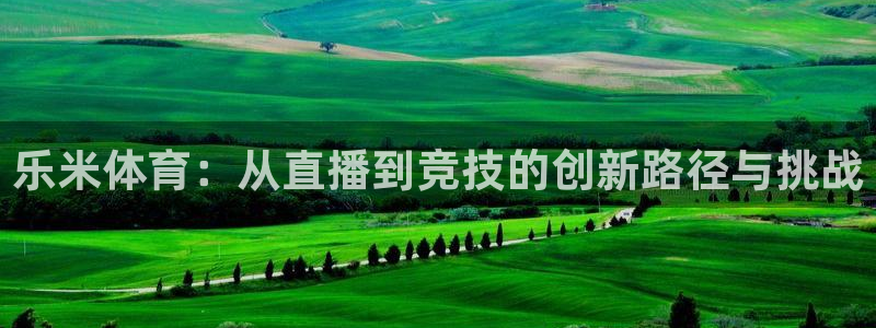 乐米体育：从直播到竞技的创新路径与挑战