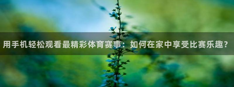 用手机轻松观看最精彩体育赛事：如何在家中享受比赛乐趣？