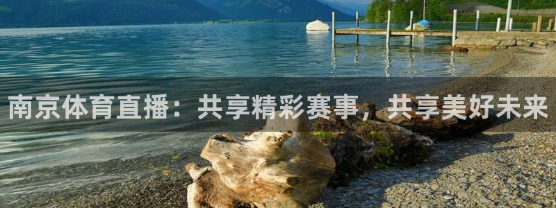 南京体育直播：共享精彩赛事，共享美好未来
