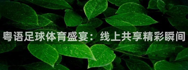 粤语足球体育盛宴：线上共享精彩瞬间