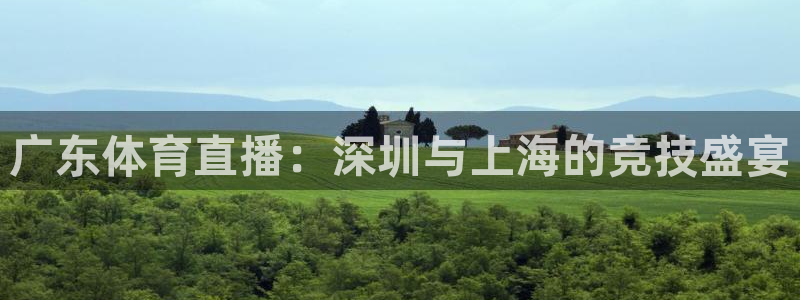 广东体育直播：深圳与上海的竞技盛宴