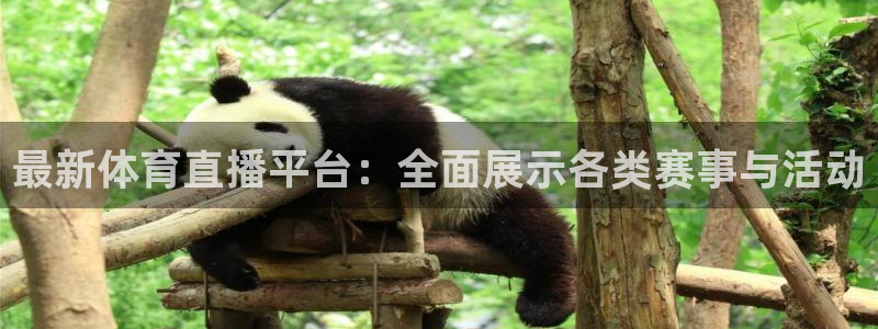 最新体育直播平台：全面展示各类赛事与活动