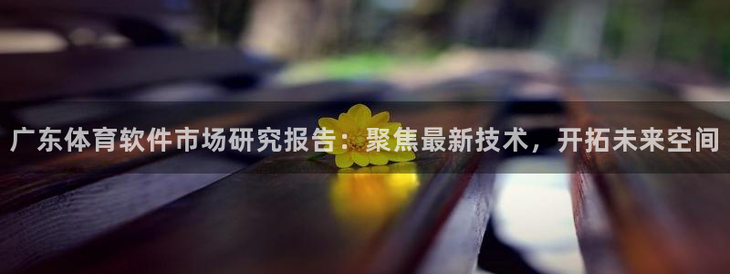 广东体育软件市场研究报告：聚焦最新技术，开拓未来空间