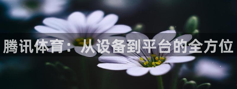 腾讯体育：从设备到平台的全方位