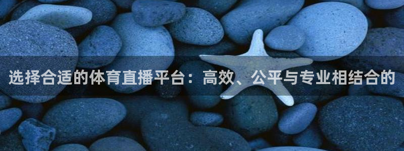 选择合适的体育直播平台：高效、公平与专业相结合的