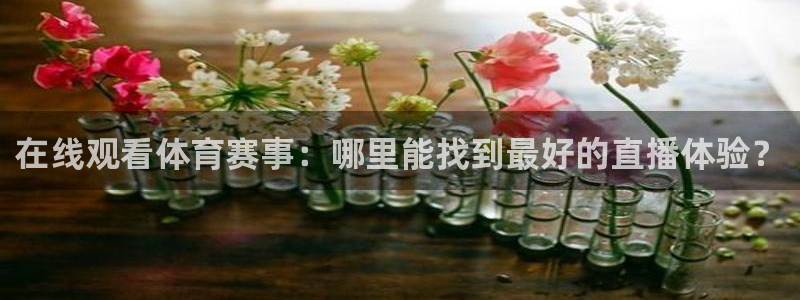 在线观看体育赛事：哪里能找到最好的直播体验？