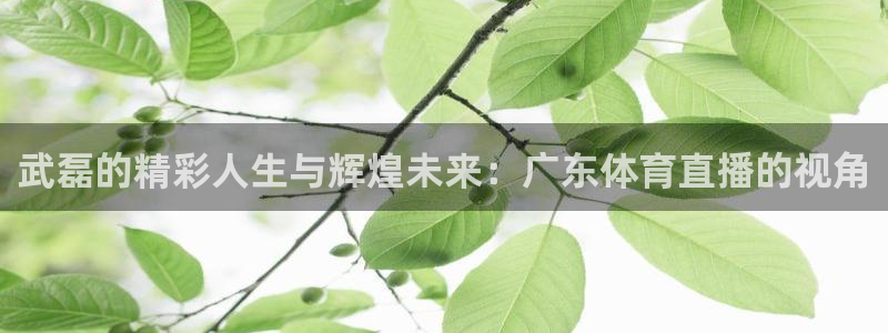 武磊的精彩人生与辉煌未来：广东体育直播的视角