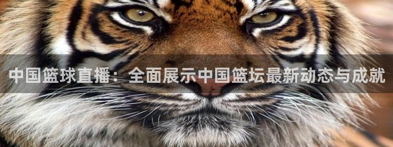 中国篮球直播：全面展示中国篮坛最新动态与成就