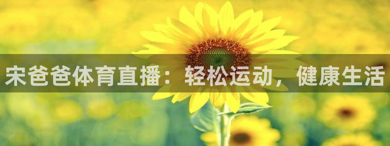 宋爸爸体育直播：轻松运动，健康生活
