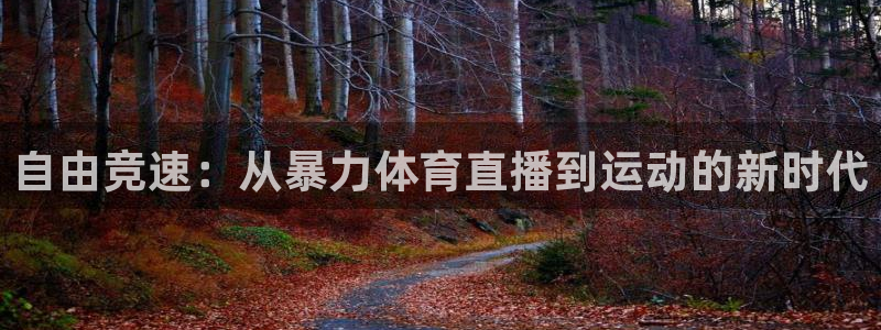 自由竞速：从暴力体育直播到运动的新时代