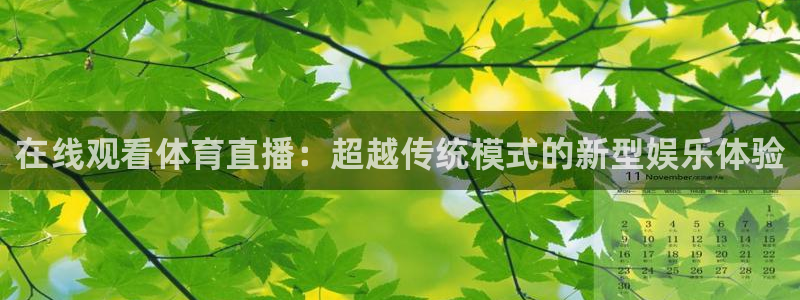 在线观看体育直播：超越传统模式的新型娱乐体验