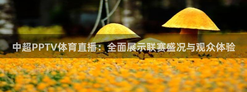 中超PPTV体育直播：全面展示联赛盛况与观众体验