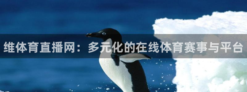 维体育直播网：多元化的在线体育赛事与平台