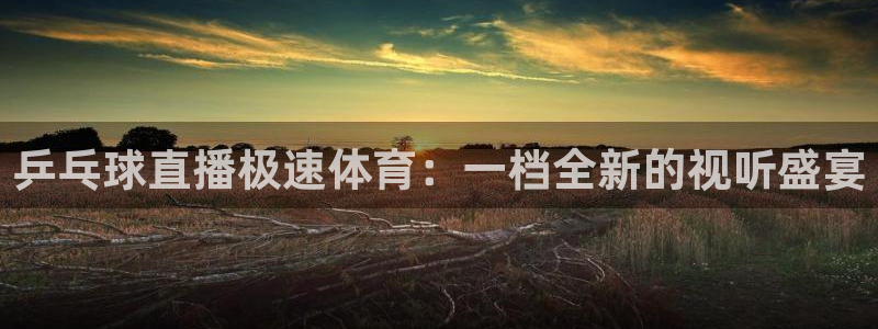 乒乓球直播极速体育：一档全新的视听盛宴