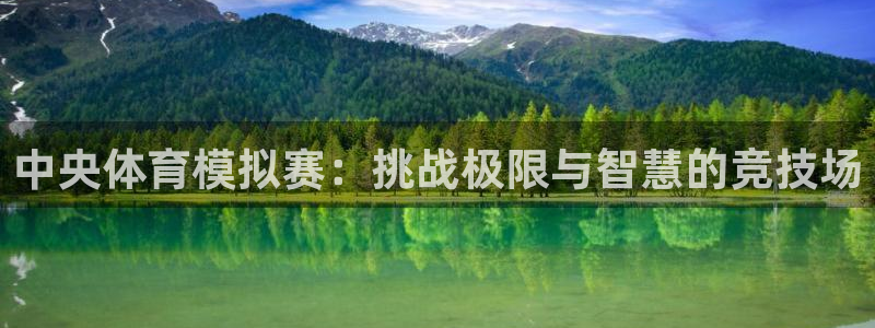 中央体育模拟赛：挑战极限与智慧的竞技场