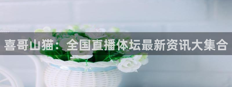 喜哥山猫：全国直播体坛最新资讯大集合