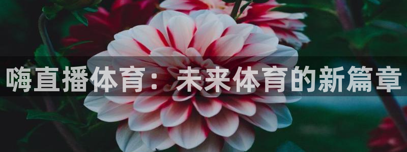嗨直播体育：未来体育的新篇章