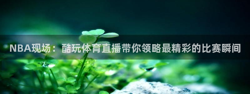 NBA现场：酷玩体育直播带你领略最精彩的比赛瞬间