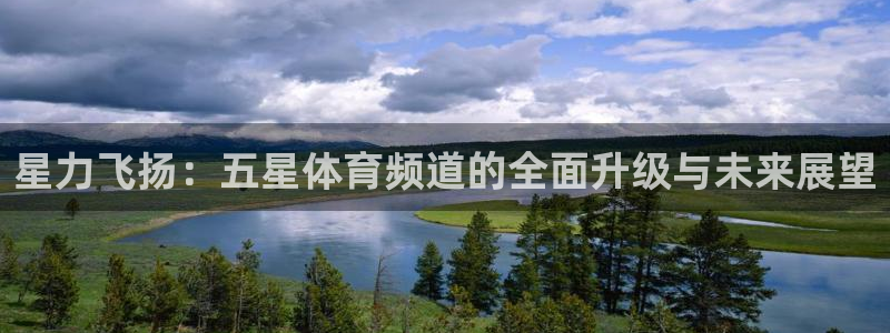 星力飞扬：五星体育频道的全面升级与未来展望