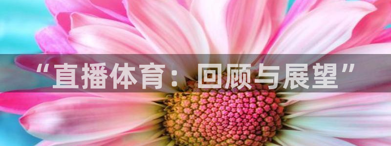 “直播体育：回顾与展望”