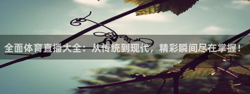 全面体育直播大全：从传统到现代，精彩瞬间尽在掌握！