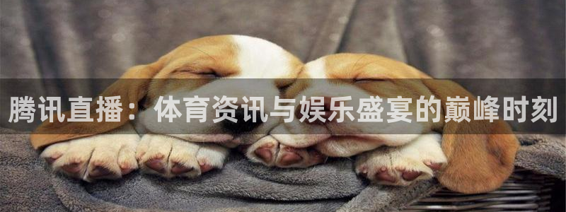 腾讯直播：体育资讯与娱乐盛宴的巅峰时刻