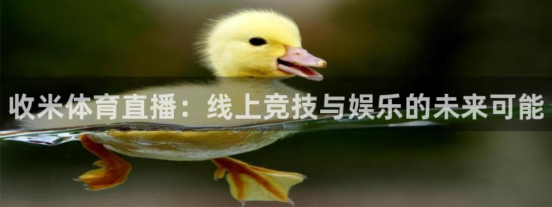 收米体育直播：线上竞技与娱乐的未来可能