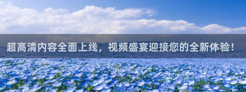 超高清内容全面上线，视频盛宴迎接您的全新体验！